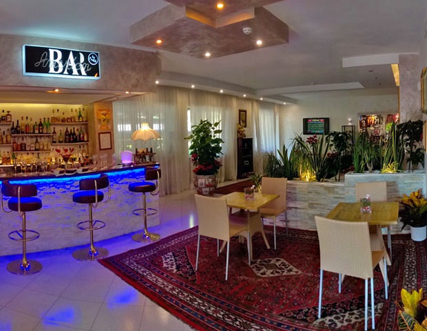 Hotel Villa - Bar